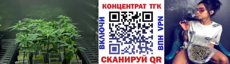 продажа наркотиков  Усть-Илимск  Дистиллят ТГК Wax 