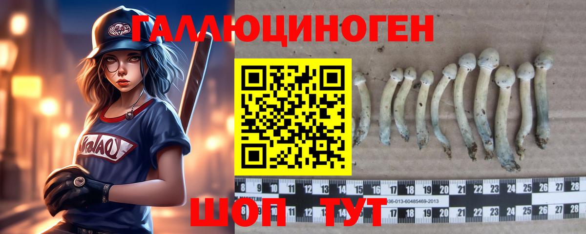 Усть-Илимск  Псилоцибиновые грибы GOLDEN TEACHER  Галлюциногенные грибы MAGIC MUSHROOMS  Вход с VPN 