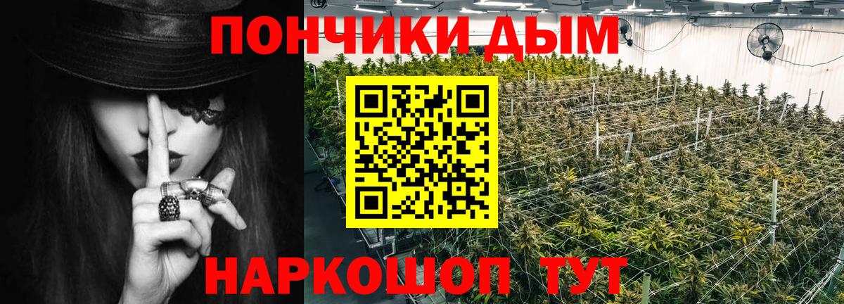Каннабис THC 21%  Бошки Шишки тримм  Бошки марихуана план  Усть-Илимск  Вход с VPN 